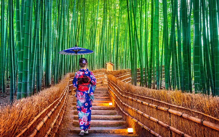 Kyoto Day Tour with Certified Tour Guide & Luxury vehicle - Kinkaku-ji and the famous Golden Pavilion