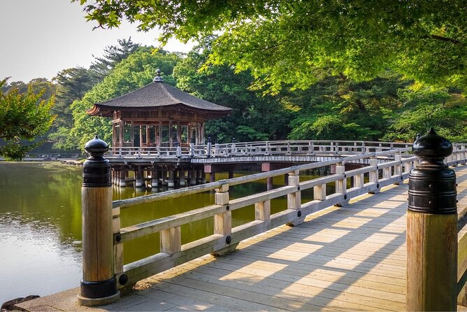 Kyoto Day Trip to Nara with a Local – Private & Personalized - Kofuku-ji and Nara’s famous pagodas
