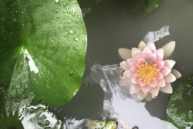 Kyoto: Descending Arashiyama (Private) - Tea and sweets at Ayuchaya Hiranoya