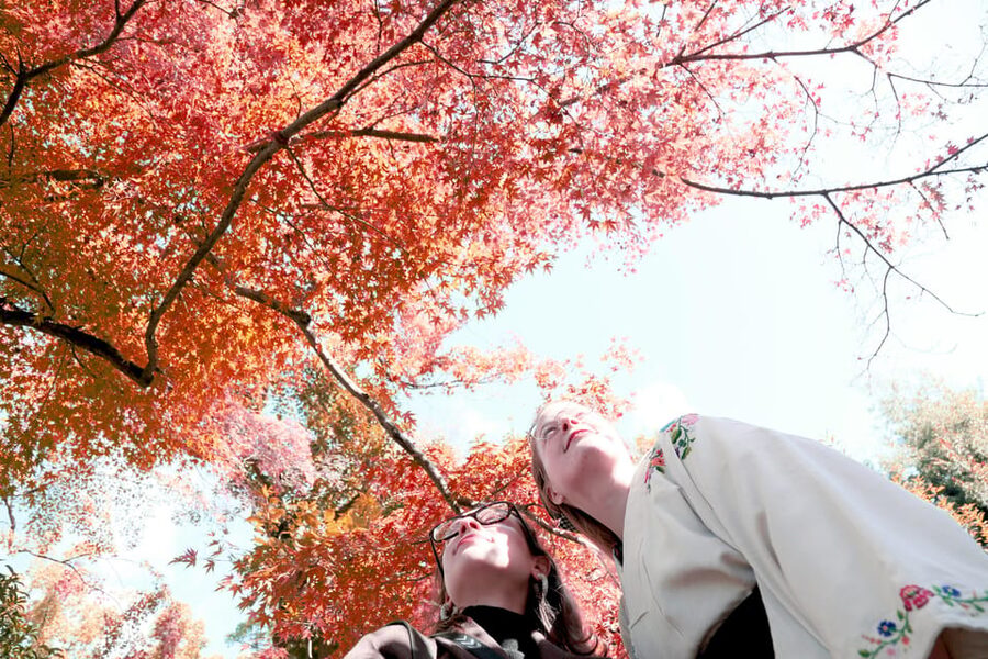 Kyoto: Discover the Oldest Geisha District, Kamishichiken - Dango tasting and other small details