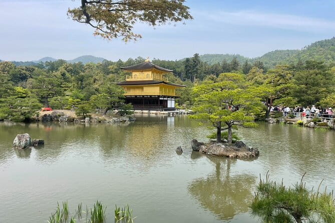 Kyoto E-Bike Tour of Hidden Gems, Backstreets and Temples - Shimogamo Shrine and the old forest