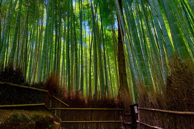 Kyoto Early Bird English Tour: Fushimi-Inari and Arashiyama - Meeting at Kyoto Station and riding the trains