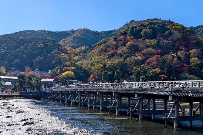 Kyoto Early Bird English Tour: Fushimi-Inari and Arashiyama - Arashiyama Bamboo Forest: one hour among the tall stalks