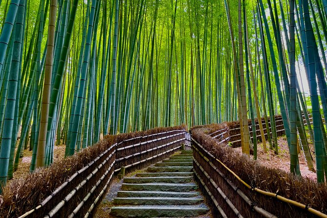 Kyoto Early Bird English Tour: Fushimi-Inari and Arashiyama - Price, pace, and who gets good value