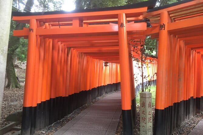 Kyoto Early Bird Tour: Fushimi Inari, Arashiyama Bamboo & Monkeys - The pace, the guide, and the practical trade-offs