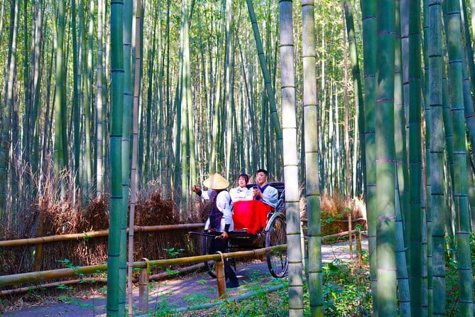 Kyoto Early Bird Tour: Fushimi Inari, Arashiyama Bamboo & Monkeys - Monkey Park Iwatayama and Kyoto from above