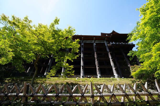 Kyoto Early Morning E Biking Tour Fushimi Inari Kiyomizu Temple - Guides, group size, and the personal touch