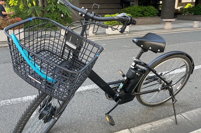 Kyoto Early Morning E Biking Tour Fushimi Inari Kiyomizu Temple - What the $67.41 price gets you