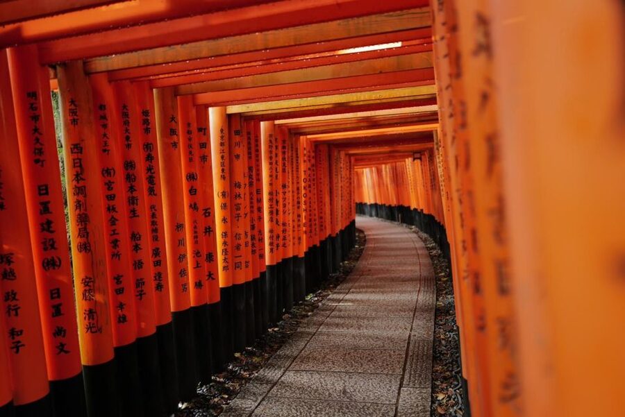 Kyoto: Early Morning Tour with English-Speaking Guide - Who should book this Kyoto morning?