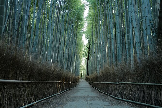 The bamboo path at Arashiyama in the early morning