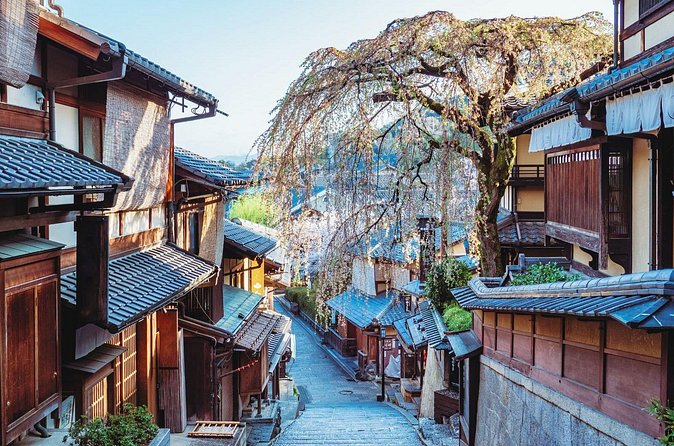 Kyoto East Early Morning Walking Tour - What the $50.73 price really buys you