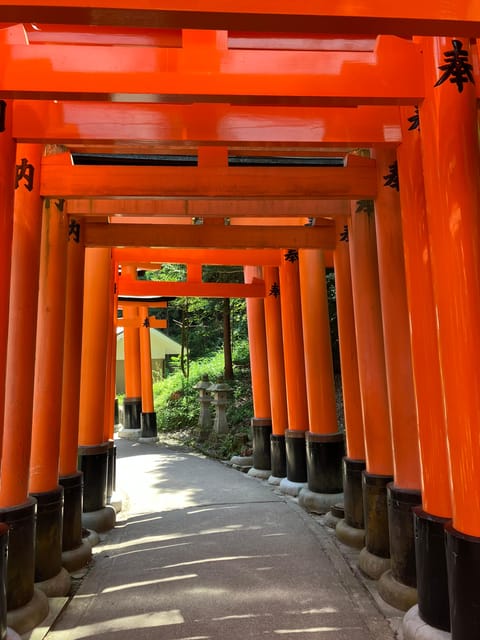 Kyoto: Essential Tour with Fushimi Inari & Bamboo Grove - Key points at a glance