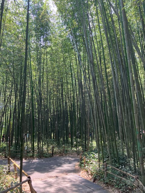 Kyoto: Essential Tour with Fushimi Inari & Bamboo Grove - The 30-minute train ride between districts