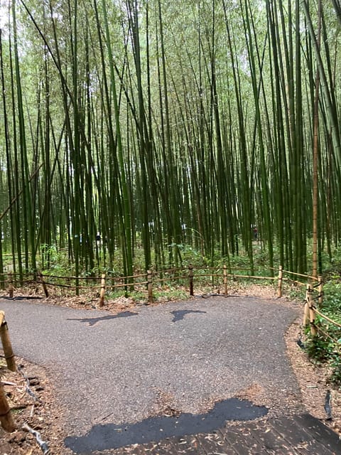 Kyoto: Essential Tour with Fushimi Inari & Bamboo Grove - Who should book this Kyoto experience?