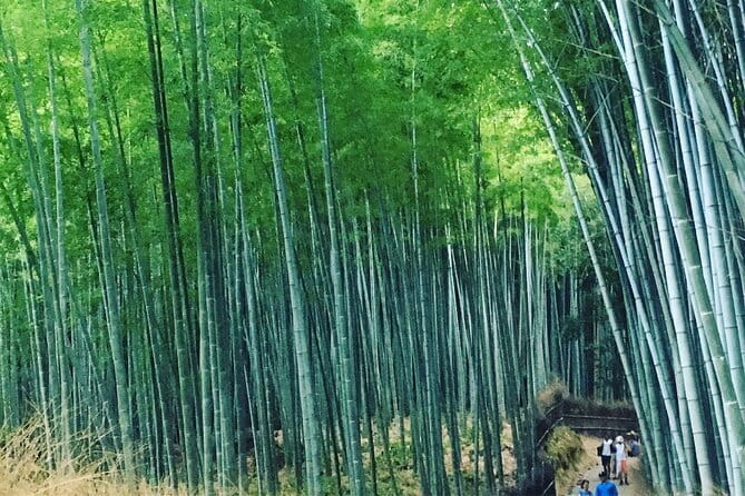 KYOTO Explore Top Highlights by Private Walking Tour - Lunch at Nishiki Market