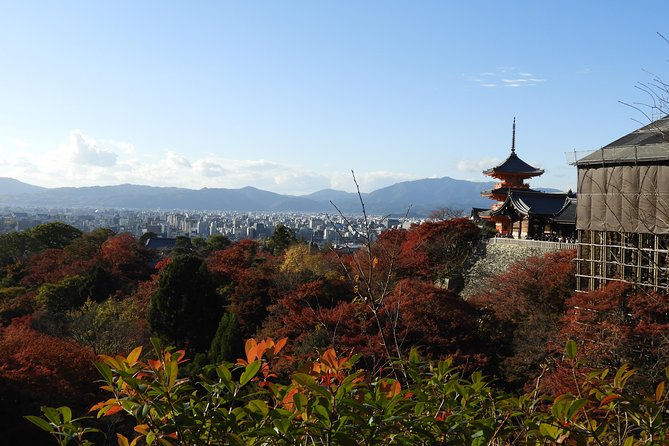 Kyoto Full Day (8 hours) Ultimate Sightseeing Private Tour - Public transport or a ¥100,000 private car