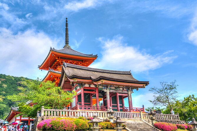 Kyoto Full Day (8 hours) Ultimate Sightseeing Private Tour - The guide can make or break the day