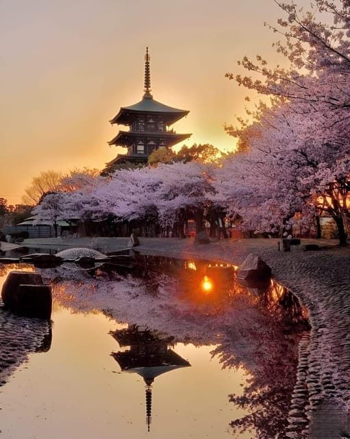 Kyoto full day private day trip with English speaking driver - Fushimi Inari and its famous red torii gates