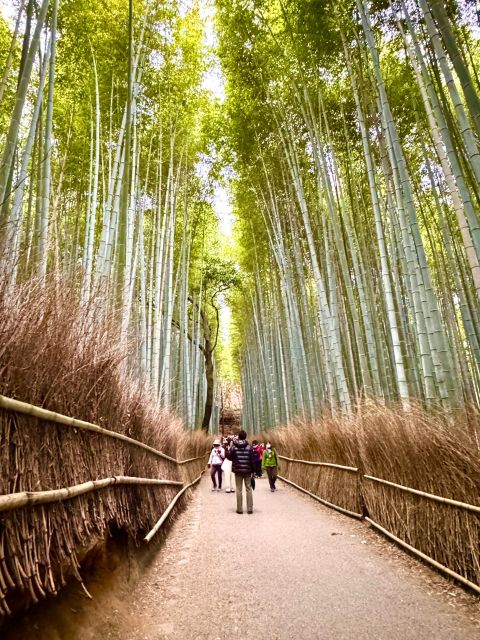 Kyoto: Fully customizable your own tour in the old capital - Why a custom Kyoto day can work better than a fixed route