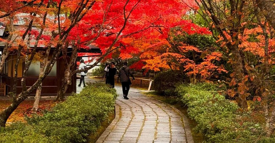 Kyoto: Fully customizable your own tour in the old capital - Smaller temples and quieter choices