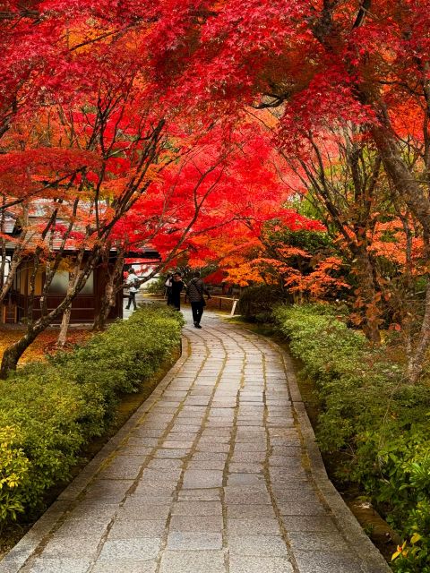 Kyoto: Fully customizable your own tour in the old capital - What the $365 group price really buys