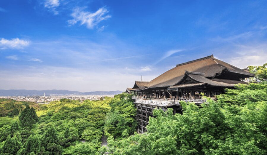 Kyoto: Fully-Customized One-day Private Tour - Walking through Gion