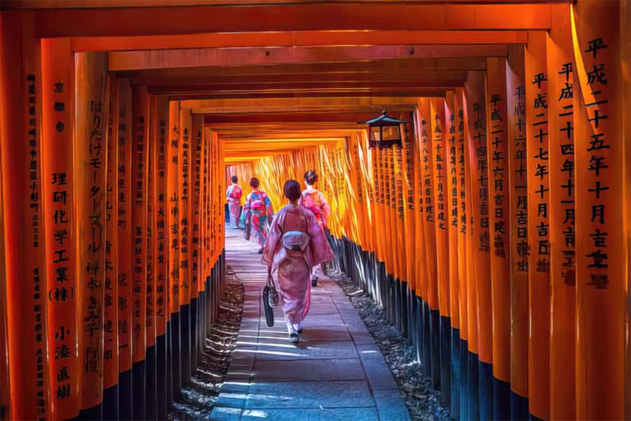 Kyoto: Fushimi, Arashiyama - Bamboo, Monkey, Torii & Secrets - Key points to know before booking