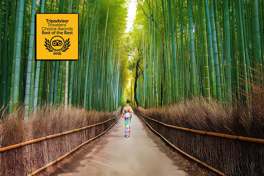 Kyoto: Fushimi, Arashiyama - Bamboo, Monkey, Torii & Secrets - Why this Kyoto combination works so well