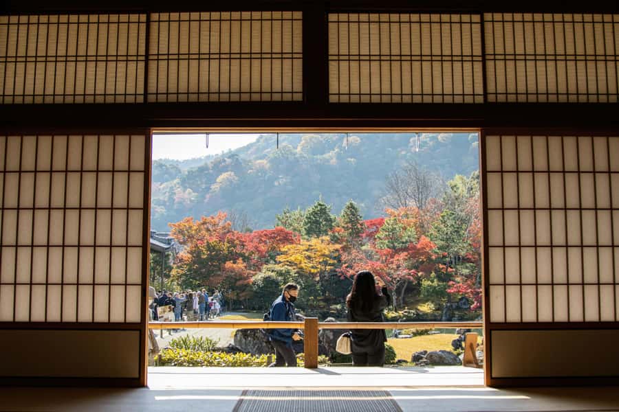 Kyoto: Fushimi, Arashiyama - Bamboo, Monkey, Torii & Secrets - Across Togetsukyo, the Moon Crossing Bridge