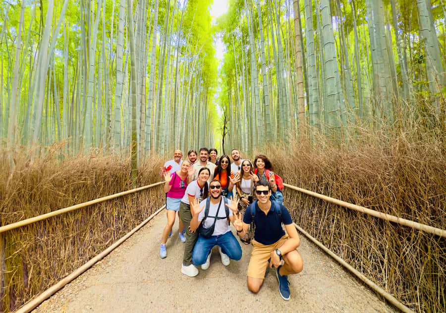 Kyoto: Fushimi, Arashiyama - Bamboo, Monkey, Torii & Secrets - The climb to Monkey Park