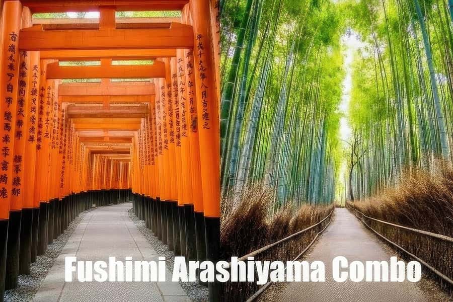 Kyoto: Fushimi, Arashiyama - Bamboo, Monkey, Torii & Secrets - Starting beneath the torii at Fushimi Inari
