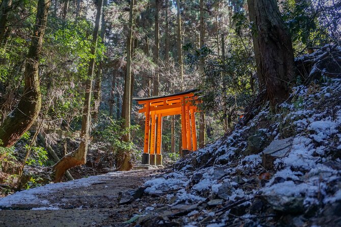 Kyoto: Fushimi Inari Hidden Hike (Private) - A quieter way into Fushimi Inari