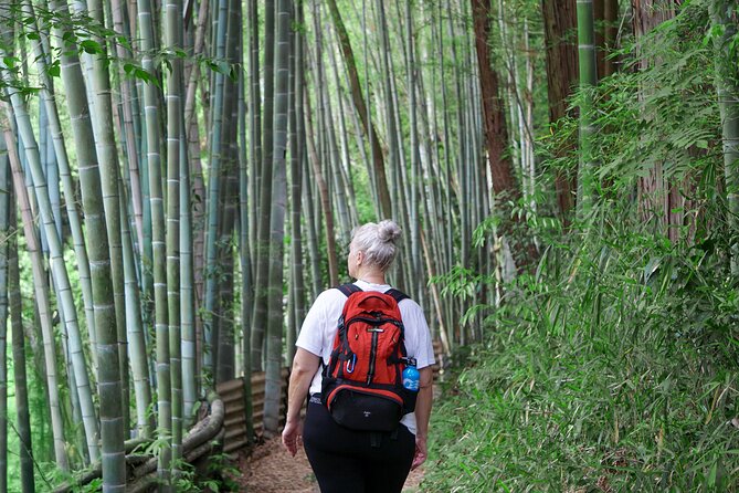Kyoto: Fushimi Inari Hidden Hike (Private) - The descent and view toward Fushimi Momoyama Castle