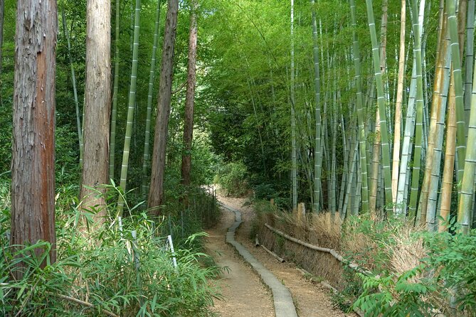 Kyoto: Fushimi Inari Hidden Hike (Private) - What the private guide adds