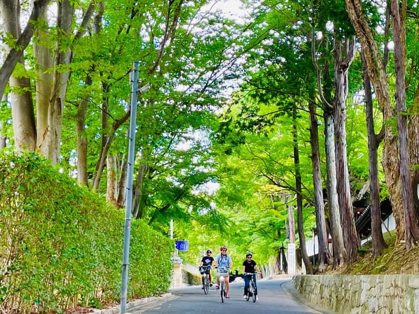 Kyoto: Fushimi Inari Shrine and Tofukuji Temple E-Bike Tour - Gion, geisha culture, and ordinary Kyoto life