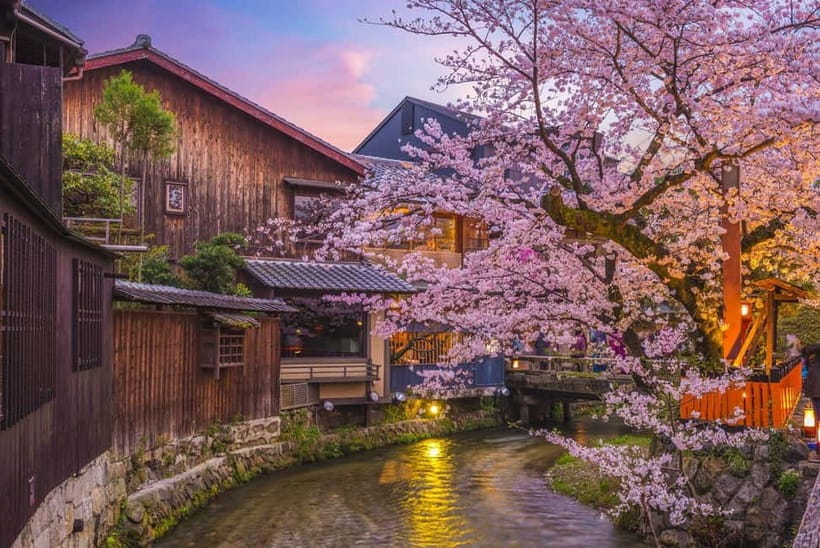 Kyoto Geisha Walking Tour: Gion District & Hidden Gems - Machiya houses and private tea houses
