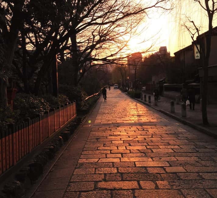 Kyoto Geisha Walking Tour: Gion District & Hidden Gems - What the $25 price delivers