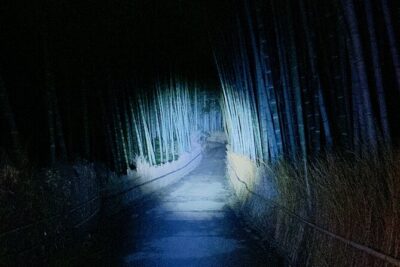Kyoto Ghost Tour: Dark Tales, Urban Legends, Bamboo Forest Night