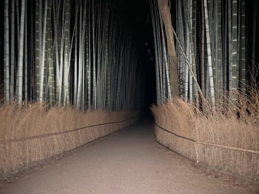 Kyoto: Ghost Tour - Legends, Dark Tales, Bamboo Forest Night - Nonomiya Shrine and the Return Route