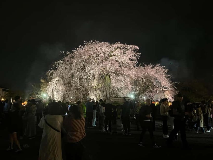 Kyoto: Gion Walking Tour - From Sanjo Ohashi to Gion-Kobu