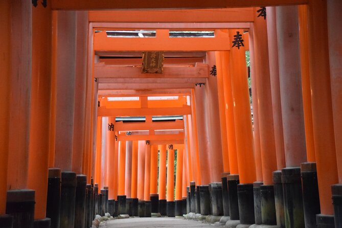 Kyoto Guided Walking Tour Highlight of Kiyomizu & Fushimi Inari - How much walking should you expect?