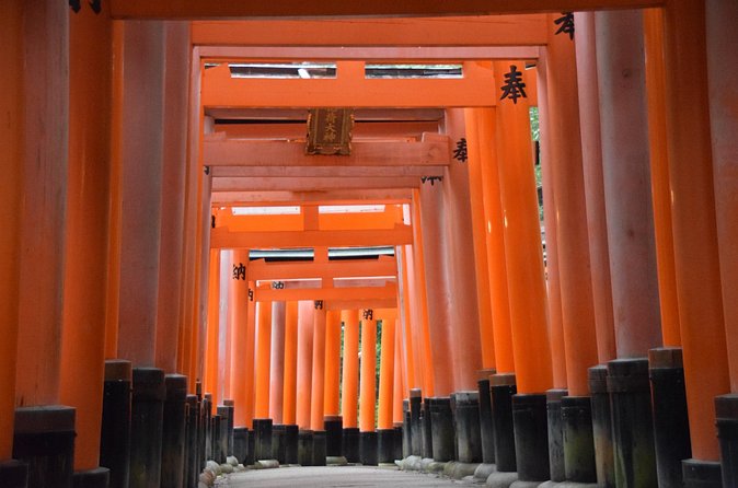 Kyoto Guided Walking Tour Highlight of Kiyomizu & Fushimi Inari - Who should book this experience?