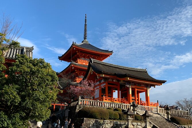 Kyoto Guided Walking Tour Highlight of Kiyomizu & Fushimi Inari - Sanjusangendo and its 1,001 statues