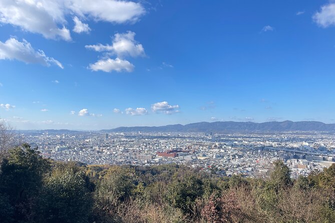 Kyoto Guided Walking Tour: Secret Zen Garden and Fushimi Inari - The torii gates, Okusha, and the main sanctuary