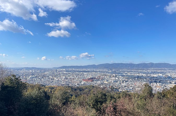 Kyoto Guided Walking Tour: Secret Zen Garden and Fushimi Inari - What the guides add to the morning