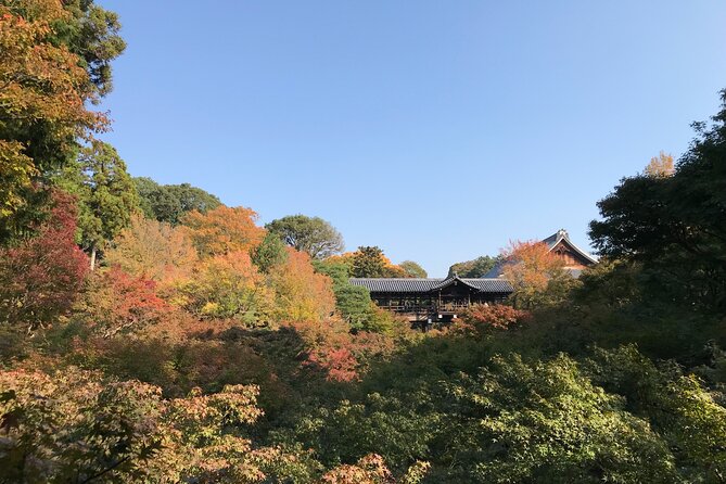Kyoto Guided Walking Tour: Secret Zen Garden and Fushimi Inari - Starting at Tofukuji and Gaun-kyo Bridge