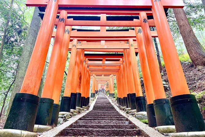 Kyoto Half Day Highlights Tour - What the guide adds to the experience