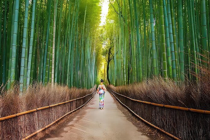 Kyoto Heritage Run - Venture through historical Kyoto landmarks - Maruyama Park and Yasaka Shrine