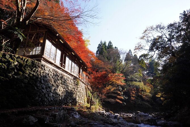 Kyoto Hidden Riverside Zen Mediation and Uji Matcha Experience - What the two-hour schedule means for your day