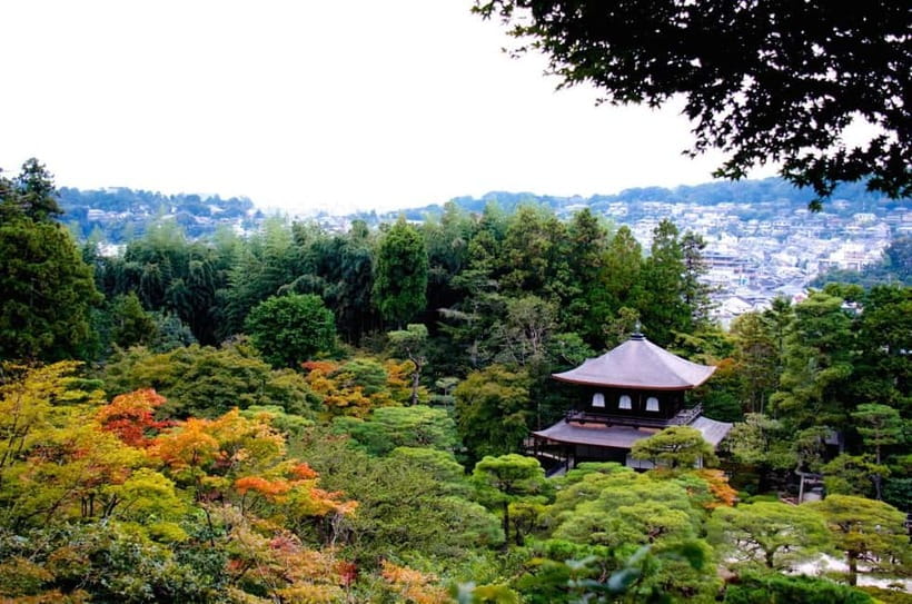 Kyoto: Highlights Guided Walking Tour - A useful first look at Kyoto’s old center
